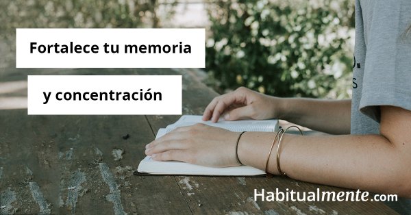 Todo Lo Que Tienes Que Saber Para Empezar A Meditar