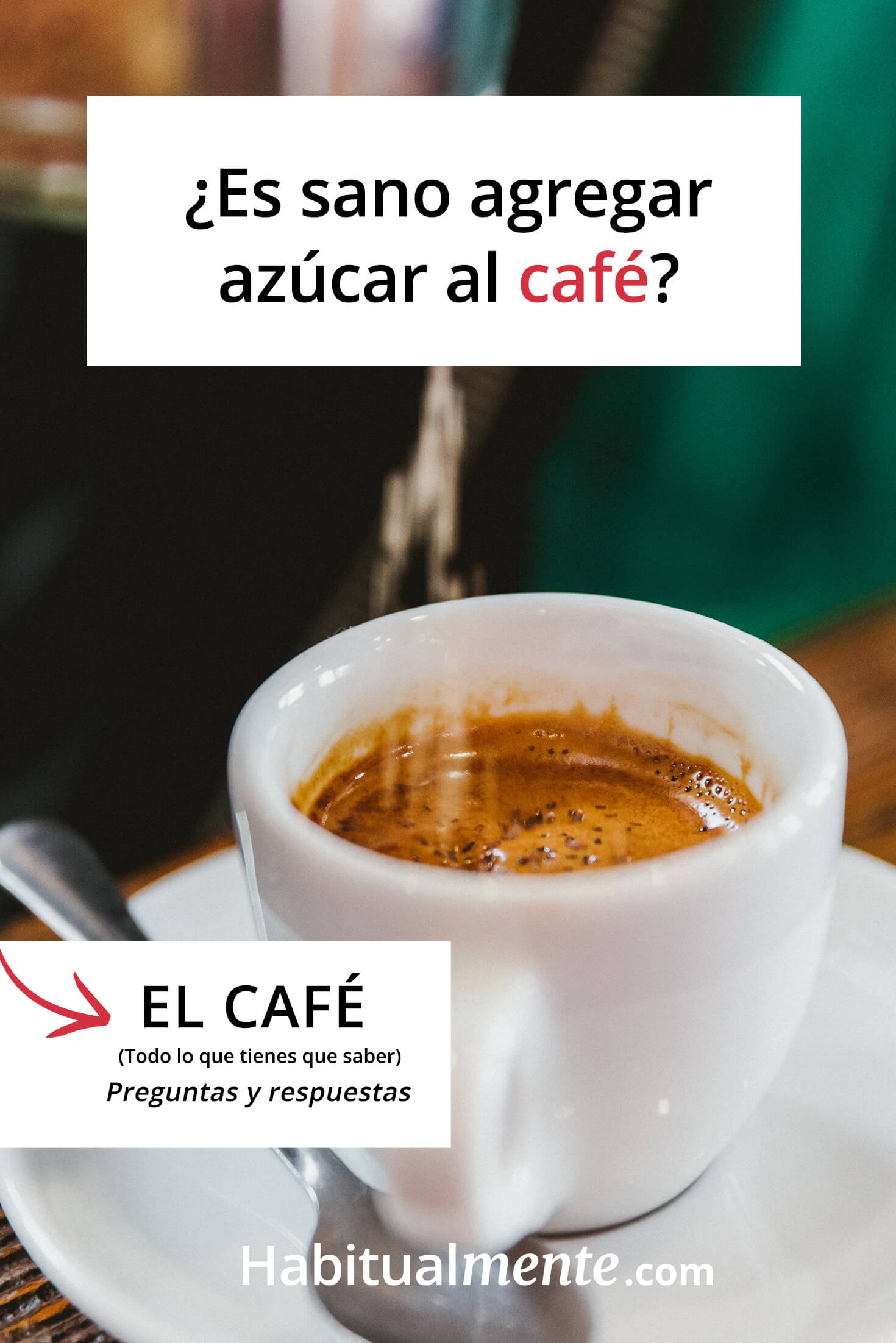 Absolutamente todo lo que tienes que saber sobre el café